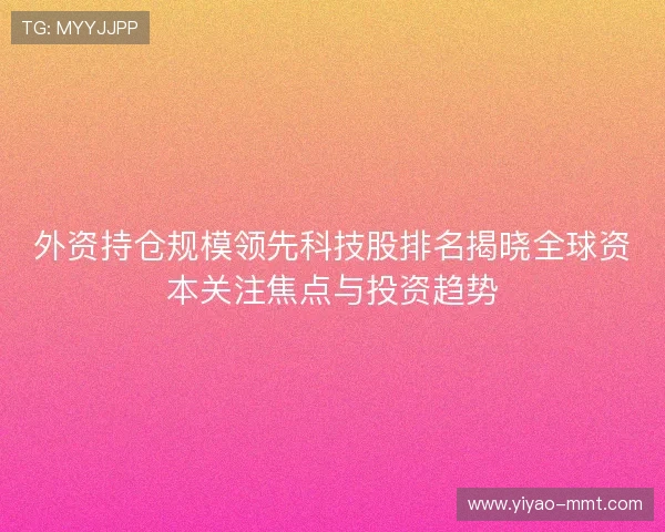 外资持仓规模领先科技股排名揭晓全球资本关注焦点与投资趋势